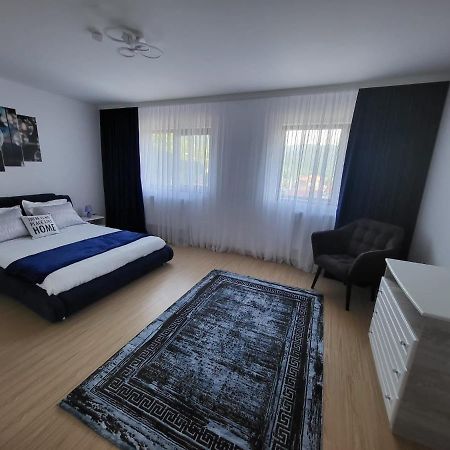 Bibis Apartments Nehoiu Exterior foto